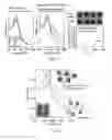 Fig. 04 - Antiviral-agent resistant virus detection system