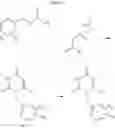 Fig. 10 - Processes for the preparation of uracil derivatives