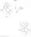 Fig. 20 - Tricyclic prodrugs