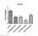 Fig. 01 - EGFR kinase inhibitor and preparation method and use thereof