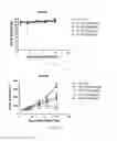 Fig. 02 - EGFR kinase inhibitor and preparation method and use thereof