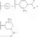 Fig. 299 - IRE1 SMALL MOLECULE INHIBITORS