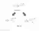 Fig. 43 - Small molecule agonists and antagonists of NR2F6 activity in animals