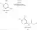 Fig. 167 - RAF-degrading conjugate compounds