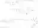 Fig. 321 - RAF-degrading conjugate compounds