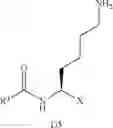 Fig. 41 - Inhibitors of lysine gingipain