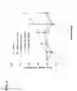 Fig. 07 - COMPOUNDS AND METHODS FOR THE TARGETED DEGRADATION OF ANDROGEN RECEPTOR