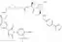 Fig. 243 - COMPOUNDS AND METHODS FOR THE TARGETED DEGRADATION OF ANDROGEN RECEPTOR