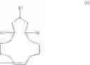Fig. 10 - Method for the preparation of compounds having a 16-oxabicyclo[10.3.1]pentadecene scaffold and the subsequent products thereof
