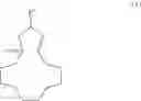 Fig. 12 - Method for the preparation of compounds having a 16-oxabicyclo[10.3.1]pentadecene scaffold and the subsequent products thereof