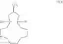 Fig. 15 - Method for the preparation of compounds having a 16-oxabicyclo[10.3.1]pentadecene scaffold and the subsequent products thereof