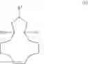 Fig. 22 - Method for the preparation of compounds having a 16-oxabicyclo[10.3.1]pentadecene scaffold and the subsequent products thereof