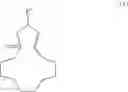 Fig. 25 - Method for the preparation of compounds having a 16-oxabicyclo[10.3.1]pentadecene scaffold and the subsequent products thereof