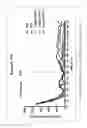 Fig. 03 - MODULATORS OF 5-HT RECEPTORS AND METHODS OF USE THEREOF