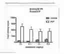 Fig. 07 - MODULATORS OF 5-HT RECEPTORS AND METHODS OF USE THEREOF