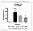 Fig. 13 - MODULATORS OF 5-HT RECEPTORS AND METHODS OF USE THEREOF