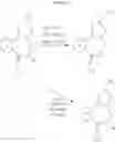 Fig. 29 - MODULATORS OF 5-HT RECEPTORS AND METHODS OF USE THEREOF