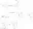 Fig. 32 - MODULATORS OF 5-HT RECEPTORS AND METHODS OF USE THEREOF