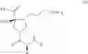 Fig. 13 - Compositions and methods for inhibiting arginase activity