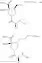 Fig. 26 - Compositions and methods for inhibiting arginase activity