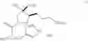 Fig. 55 - Compositions and methods for inhibiting arginase activity
