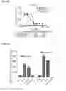 Fig. 03 - Platinum anticancer agents