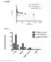 Fig. 05 - Platinum anticancer agents