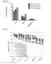 Fig. 07 - Platinum anticancer agents
