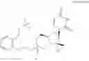 Fig. 24 - MONONUCLEOTIDES HAVING A BIOREVERSIBLE DISULFIDE GROUP