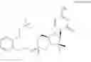 Fig. 25 - MONONUCLEOTIDES HAVING A BIOREVERSIBLE DISULFIDE GROUP