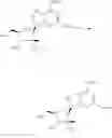 Fig. 30 - MONONUCLEOTIDES HAVING A BIOREVERSIBLE DISULFIDE GROUP