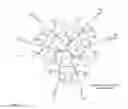 Fig. 05 - Protected fluorescent reagent compounds