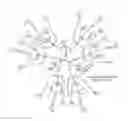 Fig. 07 - Protected fluorescent reagent compounds