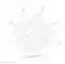 Fig. 09 - Protected fluorescent reagent compounds