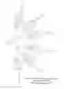 Fig. 11 - Protected fluorescent reagent compounds