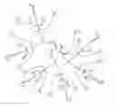 Fig. 13 - Protected fluorescent reagent compounds