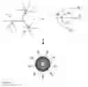 Fig. 14 - Protected fluorescent reagent compounds