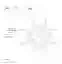 Fig. 16 - Protected fluorescent reagent compounds