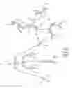 Fig. 18 - Protected fluorescent reagent compounds