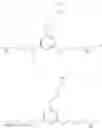 Fig. 20 - Protected fluorescent reagent compounds