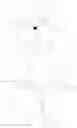Fig. 27 - Protected fluorescent reagent compounds
