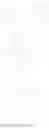 Fig. 28 - Protected fluorescent reagent compounds