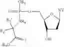 Fig. 03 - Nucleic acid prodrugs