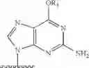 Fig. 04 - Nucleic acid prodrugs