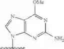 Fig. 06 - Nucleic acid prodrugs
