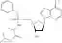 Fig. 10 - Nucleic acid prodrugs