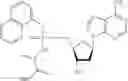Fig. 12 - Nucleic acid prodrugs