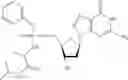 Fig. 19 - Nucleic acid prodrugs