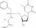 Fig. 26 - Nucleic acid prodrugs