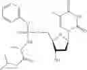 Fig. 28 - Nucleic acid prodrugs
